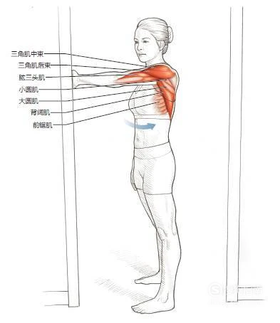 如何通过数据分析优化篮板训练效果?_2